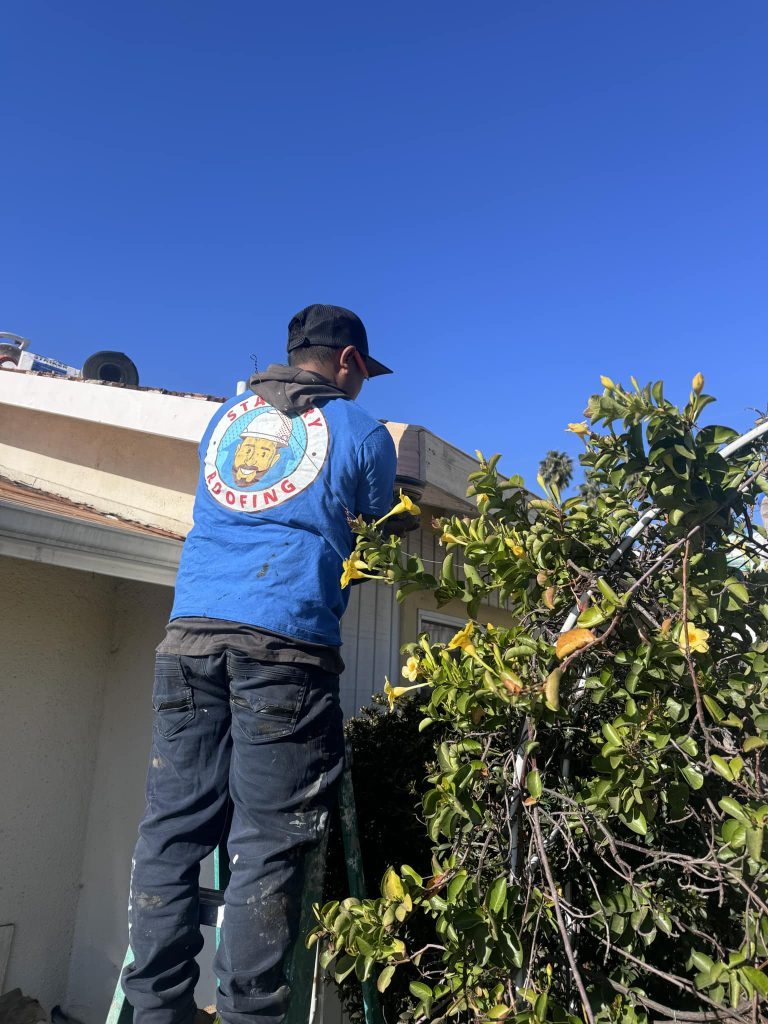 fascia board repair Mission Viejo